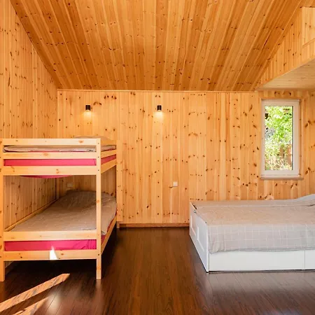 Viski Vila Guest house *