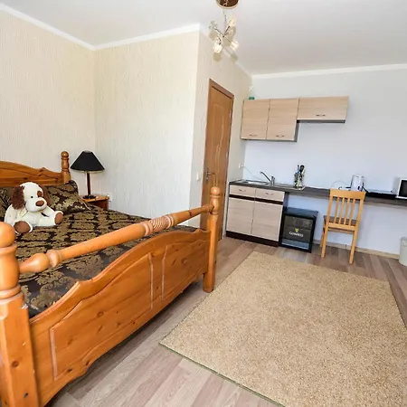 Guest house Viski Vila Palanga